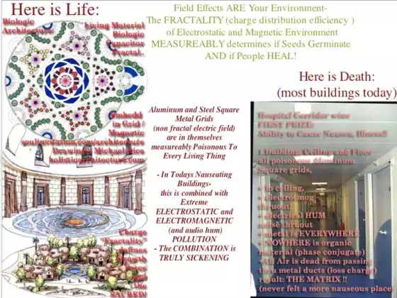 Biologic Architecture:The Deep Science of Building LIFE FORCE