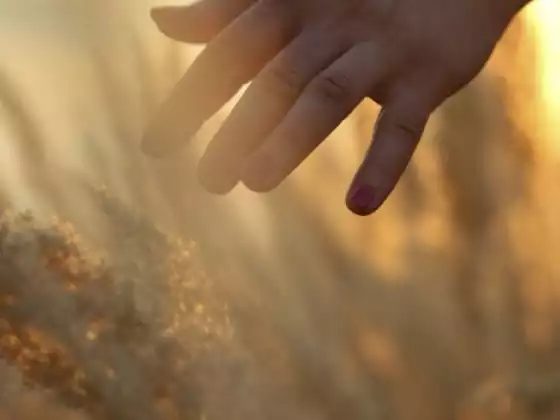 How Do We Really Heal?