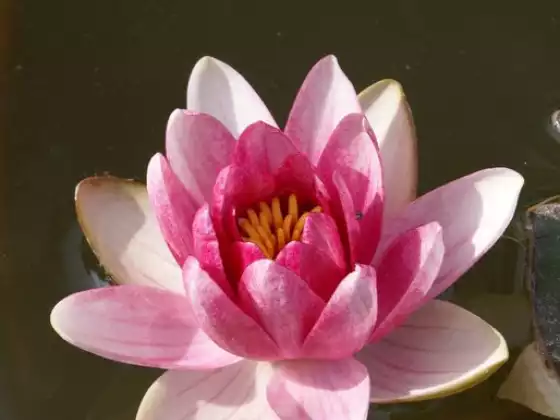 How to be a Spiritual Business Leader
