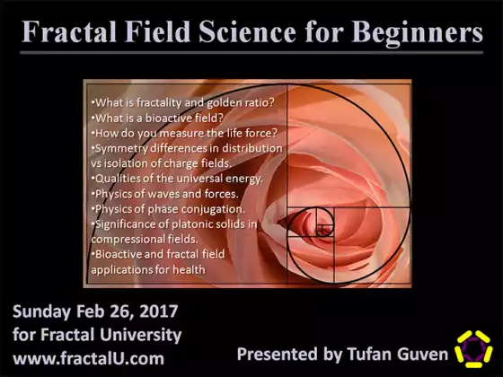 Fractal Field Physics for Beginners-with Tufan Guven
