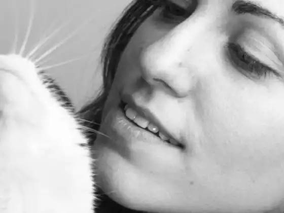 Chat A Cat: Connecting With Your Cat Through Animal Communication