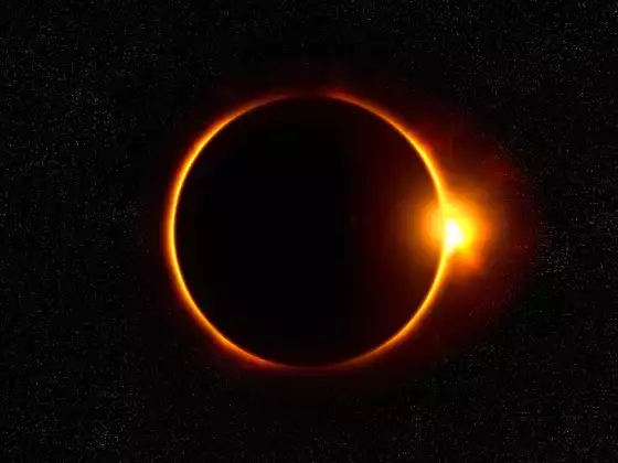 The Great American Eclipse & You