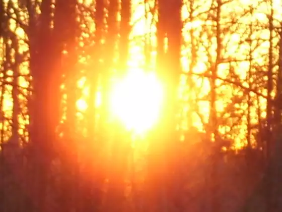 Full Moon Circle of the Angelic Wisdom Council