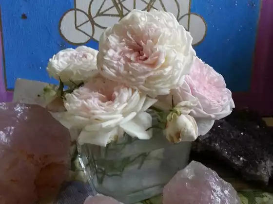 How to Embark on a Daily Spiritual Practice