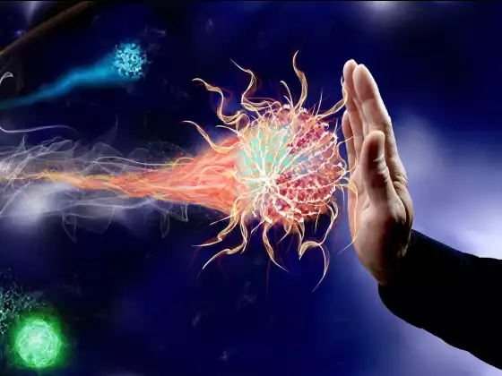 Wellness Magic: Inside Secrets to Boost Your Immune System To Keep You Well
