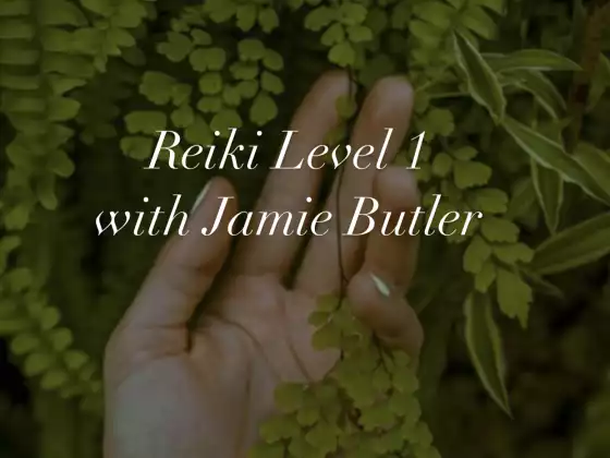 Reiki Level 1