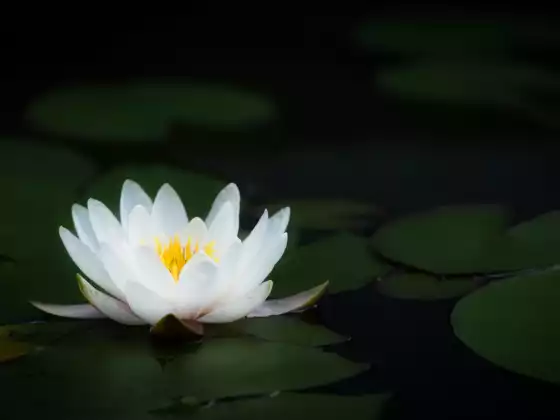 Reiki-Stufe 2