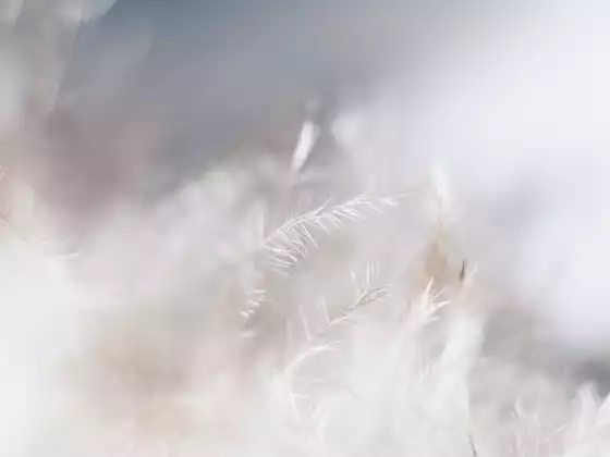 更高意識脈輪的遠程治療 - 多語言