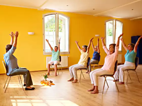 Chair Yoga & Qigong - Sit or Stand!