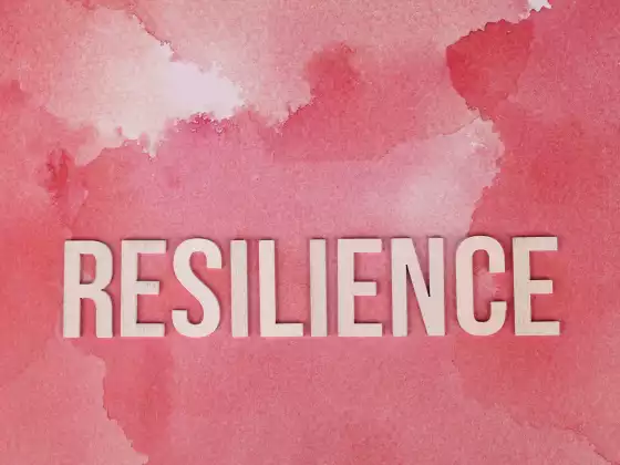 Domínios de Resiliência
