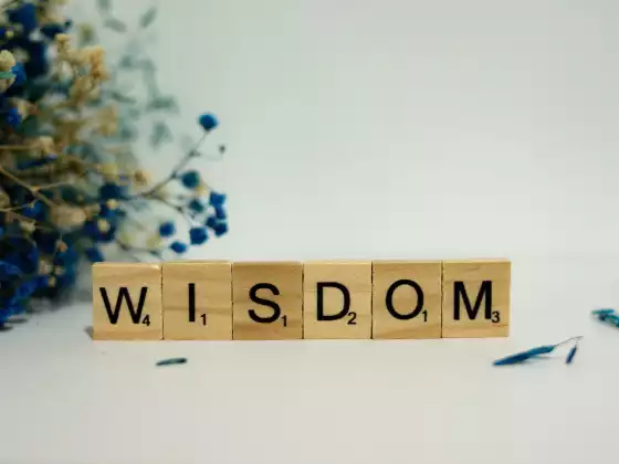 SE #35: The Wisdom of Feather and Fur