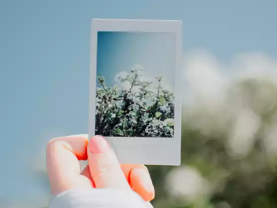 Setting Your Personal Intentions: A Channeled Class with Grace