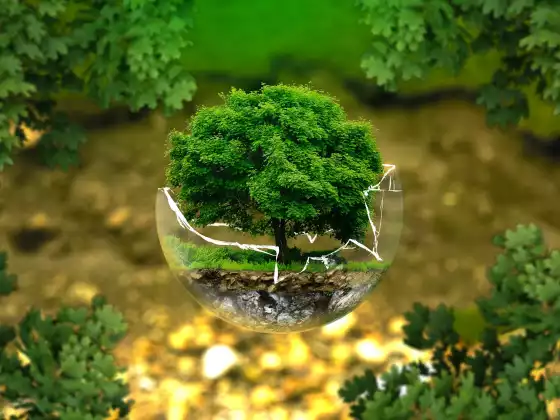Energy Healing and Protection Blessing