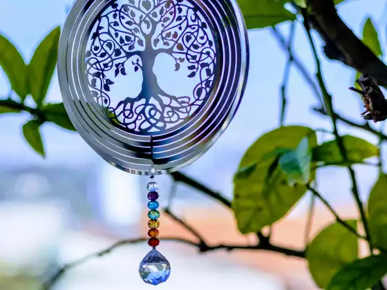 Throat Chakra 101