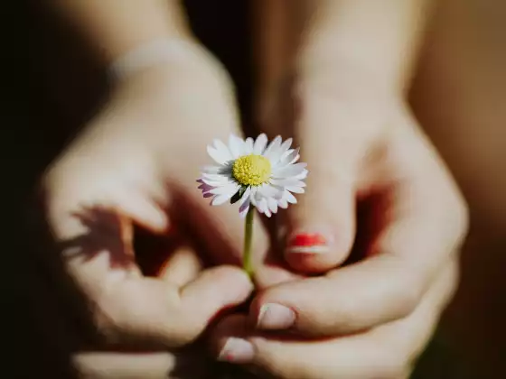 Reiki Healing