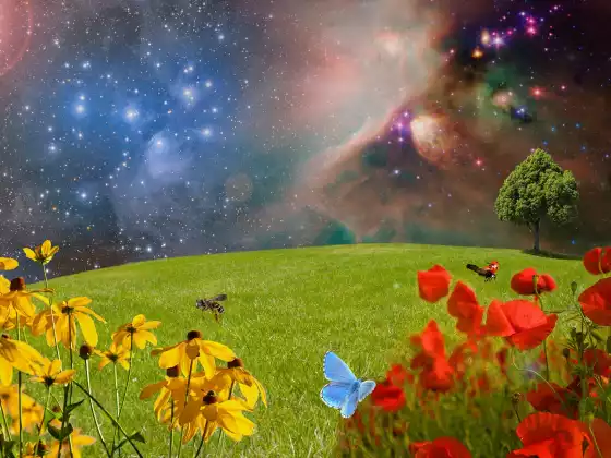 Spiritual Ascension Sundays - Bundle 6 (3 classes)