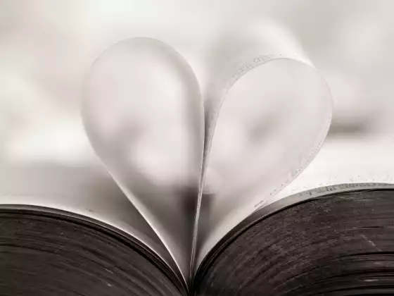 Holy Fire® Reiki Meditation:  Holy Love 1 Experience