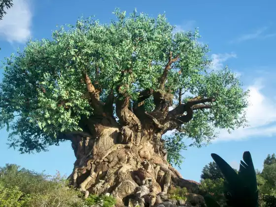 September Reiki Healing Hour - Tree of Life and Mother Earth
