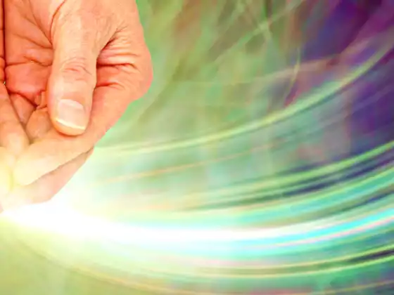 July Reiki Healing Hour - The Divine Animal Kingdom and Mother Earth