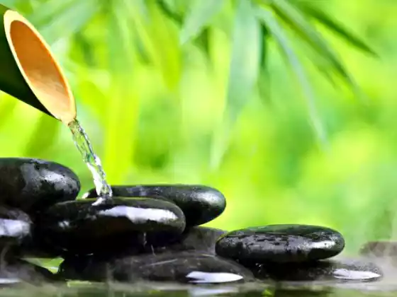 Eine Einführung in Qi Gong