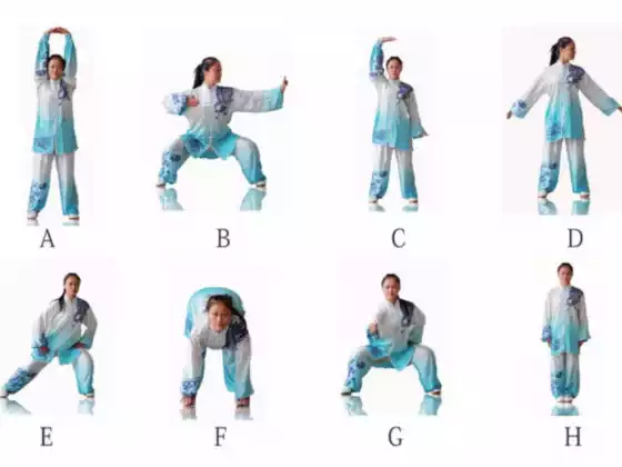 Qigong 12 minute Practice 