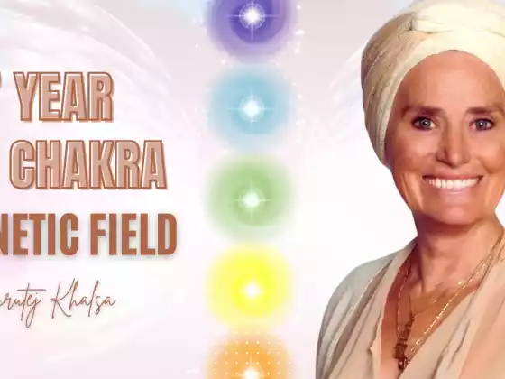 7 Year 7th Chakra Magnetic Field