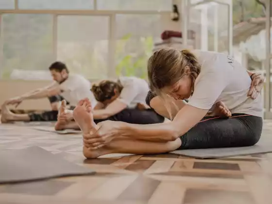 Pilates for Yogis #3