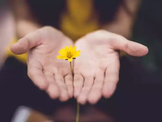 Akhir Pekan Master Reiki
