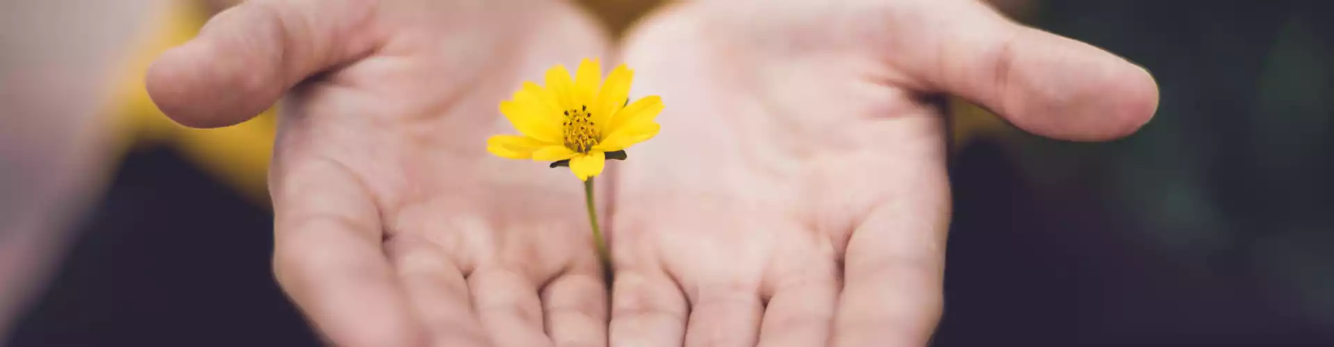 Akhir Pekan Master Reiki - Online Class by Jamie Butler