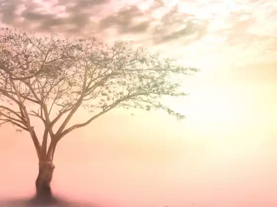 Past Life Healing: Meditation and Energy Techniques