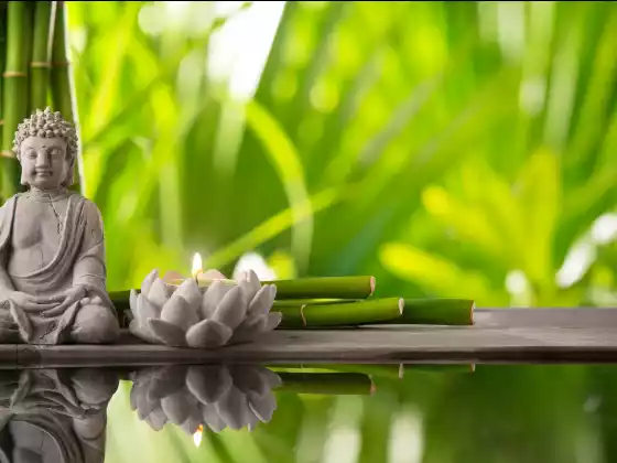 Ling Chi Healing Meditation with WU Expert Guide Carole Park