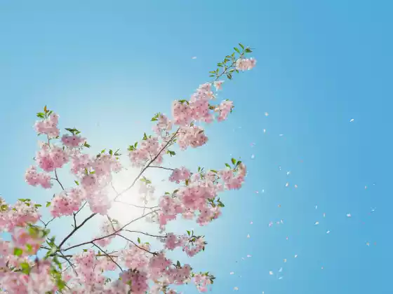 Năng lượng chữa bệnh cho sức khỏe phụ nữ
