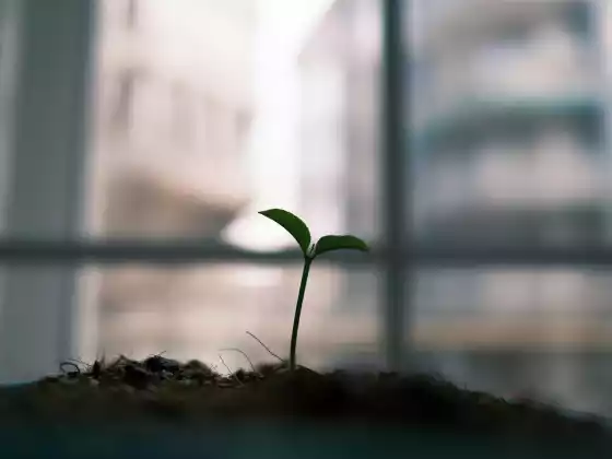 Wie Energieheilung zu physischem Webinar 1 wird