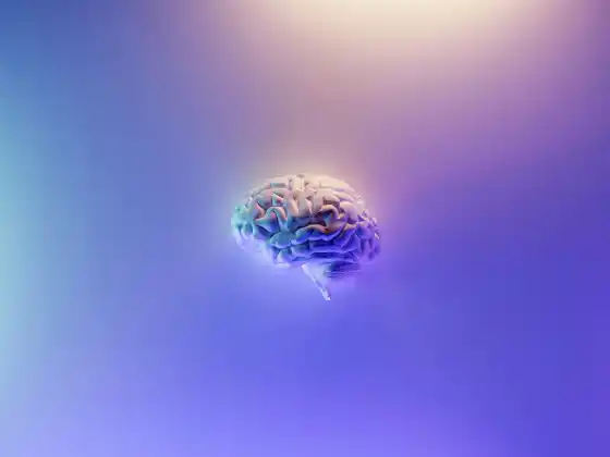 صحة الدماغ وممارسة الرياضة - كيف تؤثر التمارين على صحة الدماغ والذاكرة