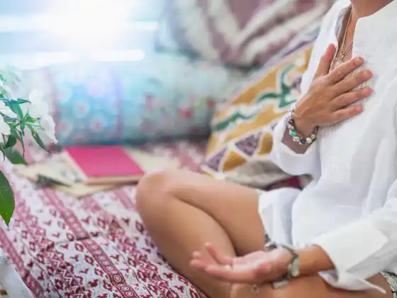ซีรีส์การทำสมาธิ Soul Embodiment พร้อมคู่มือความยืดหยุ่น Leah Skurdal