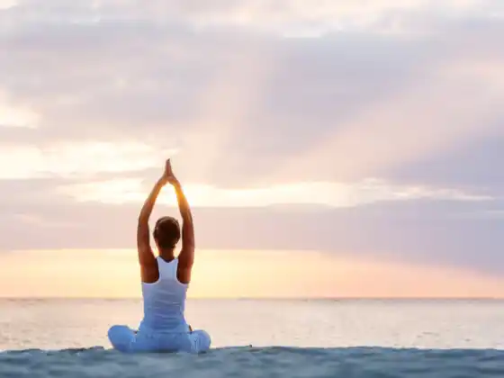 Modül 11 (İnce Anatomi) - 200 HR Yoga Öğretmenliği Eğitimi