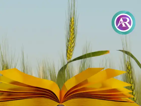 Nyilvánvaló bőség és ügyfélnövekedés az Akashic Records Consultation Practice Pro mesterkurzusában