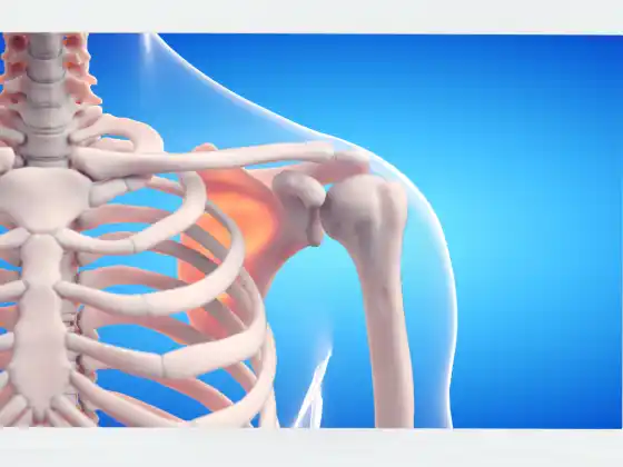 Bone Density & Mineral Topics in Energy Medicine
