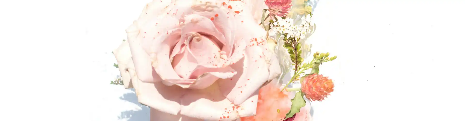 Reiki Mastership Follow Up  - Online Class by Jamie Butler