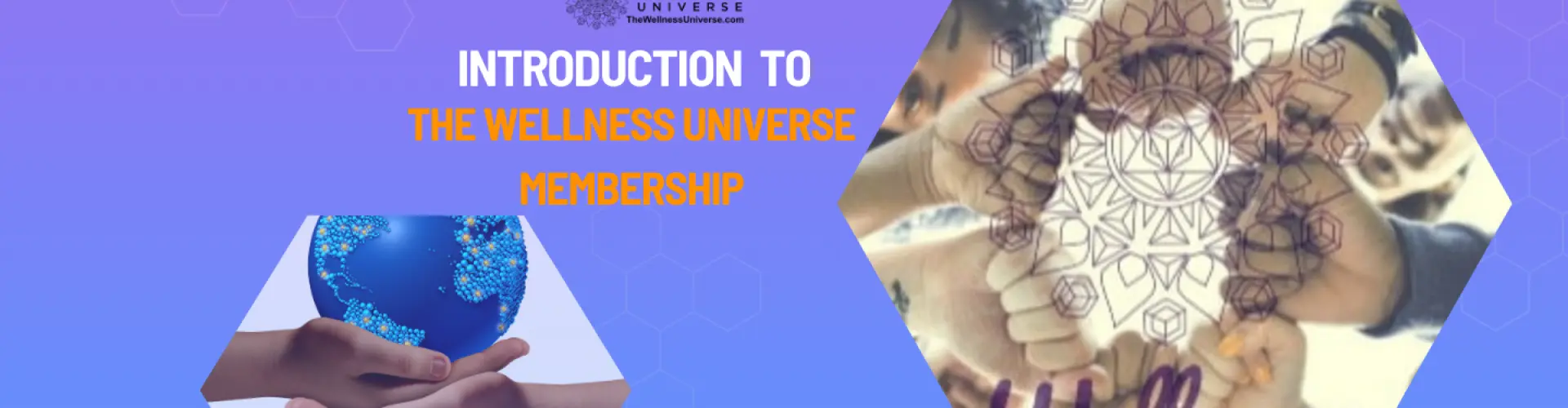 Pengenalan kepada Keahlian Wellness Universe - Melalui Jemputan VIP - Online Class by The Wellness Universe