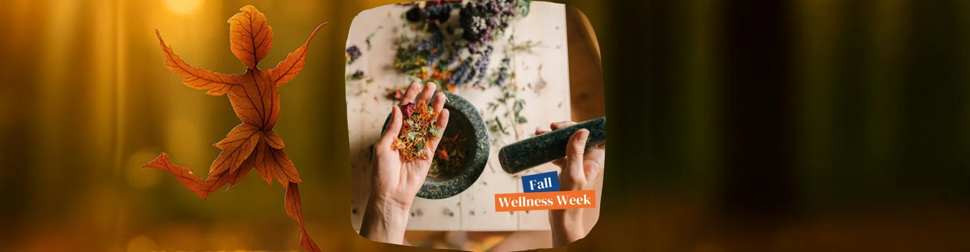 Pertolongan Pertama Herbal di Rumah - Online Class by Melanie Cardwell